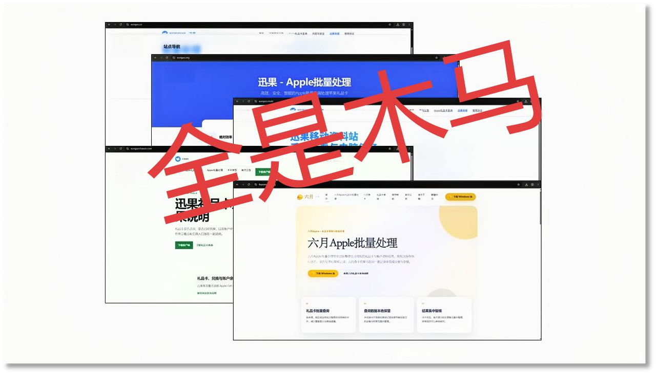 图1、讯果伪装官网页面.png